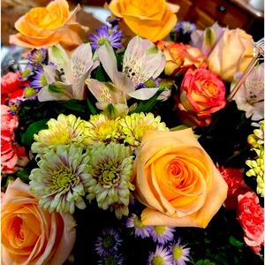 Meet your Posher, Sam